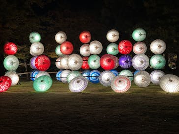 国営昭和記念公園 秋の夜散歩に投稿された画像（2023/11/23）