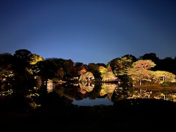 六義園に投稿された画像（2023/11/23）