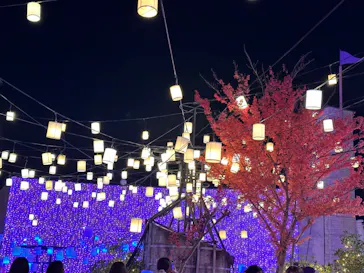 ひらかたパークに投稿された画像（2023/11/23）