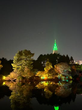 NAKED 紅葉の新宿御苑2023に投稿された画像（2023/11/23）