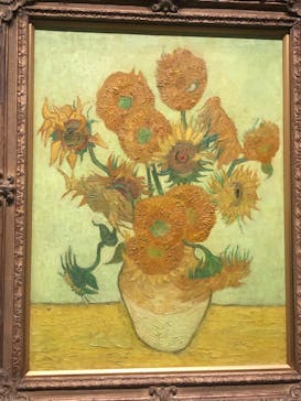 ゴッホと静物画　伝統から革新へ（SＯＭＰＯ美術館）に投稿された画像（2023/11/23）