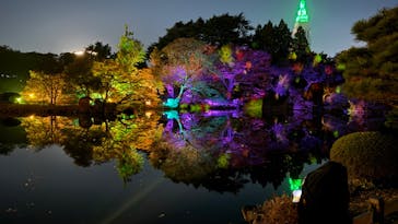 NAKED 紅葉の新宿御苑2023に投稿された画像（2023/11/23）