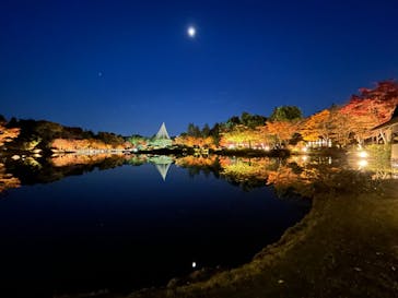 国営昭和記念公園 秋の夜散歩に投稿された画像（2023/11/23）
