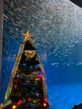 名古屋港水族館に投稿された画像（2023/11/23）