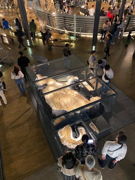 福井県立恐竜博物館に投稿された画像（2023/11/23）