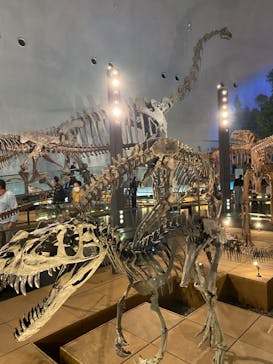 福井県立恐竜博物館に投稿された画像（2023/11/23）