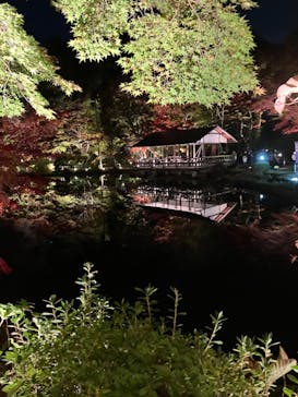 名古屋市東山動植物園に投稿された画像（2023/11/23）