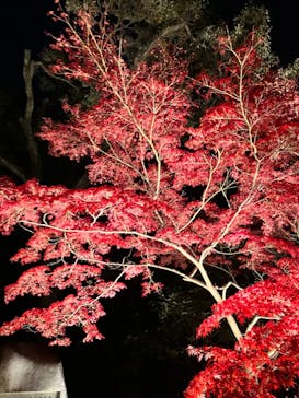 名古屋市東山動植物園に投稿された画像（2023/11/23）