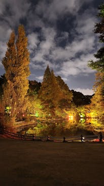 NAKED 紅葉の新宿御苑2023に投稿された画像（2023/11/23）