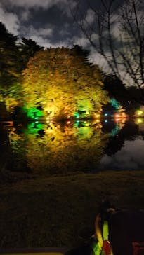 NAKED 紅葉の新宿御苑2023に投稿された画像（2023/11/23）