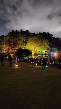 NAKED 紅葉の新宿御苑2023に投稿された画像（2023/11/23）