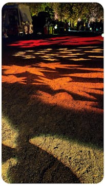 NAKED 紅葉の新宿御苑2023に投稿された画像（2023/11/23）