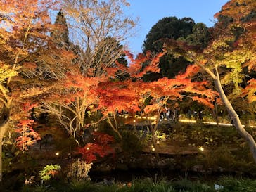 名古屋市東山動植物園に投稿された画像（2023/11/23）