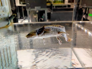 AOAO SAPPOROに投稿された画像（2023/11/23）