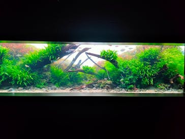 AOAO SAPPOROに投稿された画像（2023/11/23）