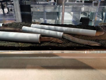 AOAO SAPPOROに投稿された画像（2023/11/23）