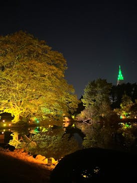 NAKED 紅葉の新宿御苑2023に投稿された画像（2023/11/23）