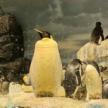 名古屋港水族館に投稿された画像（2023/11/23）