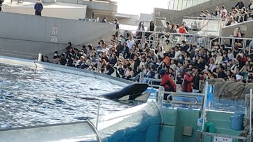 名古屋港水族館に投稿された画像（2023/11/23）