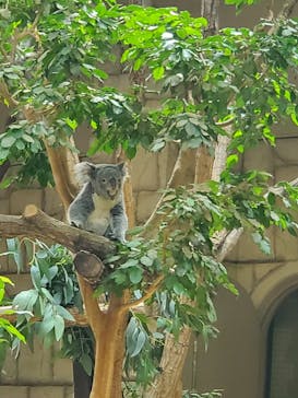 名古屋市東山動植物園に投稿された画像（2023/11/23）