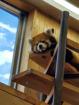 名古屋市東山動植物園に投稿された画像（2023/11/23）