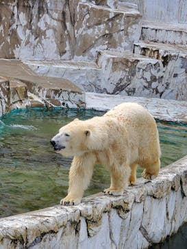 名古屋市東山動植物園に投稿された画像（2023/11/23）