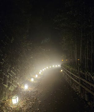 ニジゲンノモリに投稿された画像（2023/11/23）