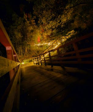 ニジゲンノモリに投稿された画像（2023/11/23）