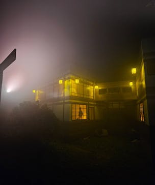 ニジゲンノモリに投稿された画像（2023/11/23）