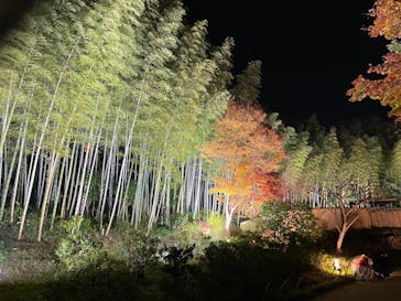 国営昭和記念公園 秋の夜散歩に投稿された画像（2023/11/23）