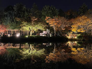 国営昭和記念公園 秋の夜散歩に投稿された画像（2023/11/23）