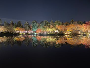 国営昭和記念公園 秋の夜散歩に投稿された画像（2023/11/23）