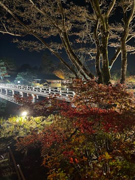 国営昭和記念公園 秋の夜散歩に投稿された画像（2023/11/23）