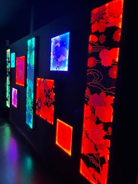 NARA KINGYO MUSEUMに投稿された画像（2023/11/23）