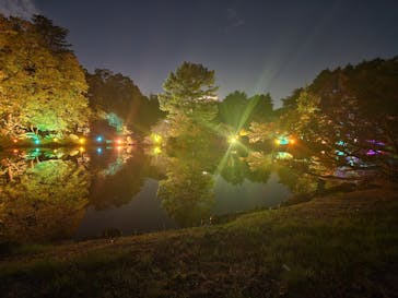 NAKED 紅葉の新宿御苑2023に投稿された画像（2023/11/23）