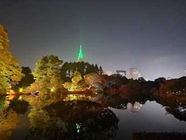 NAKED 紅葉の新宿御苑2023に投稿された画像（2023/11/23）