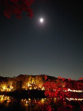 ムーミンバレーパークに投稿された画像（2023/11/23）