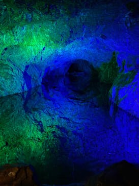 地底王国「美川ムーバレー」に投稿された画像（2023/11/23）