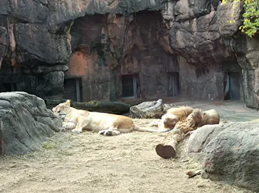 天王寺動物園に投稿された画像（2023/11/23）