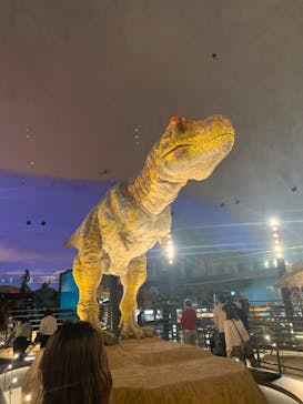 福井県立恐竜博物館に投稿された画像（2023/11/23）