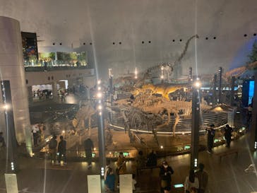 福井県立恐竜博物館に投稿された画像（2023/11/23）