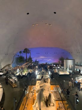 福井県立恐竜博物館に投稿された画像（2023/11/23）