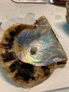 しながわ水族館に投稿された画像（2023/11/23）