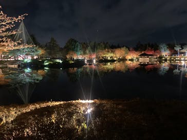 国営昭和記念公園 秋の夜散歩に投稿された画像（2023/11/23）