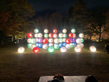 国営昭和記念公園 秋の夜散歩に投稿された画像（2023/11/23）