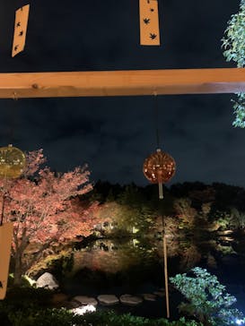 国営昭和記念公園 秋の夜散歩に投稿された画像（2023/11/23）