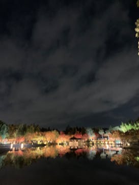 国営昭和記念公園 秋の夜散歩に投稿された画像（2023/11/23）