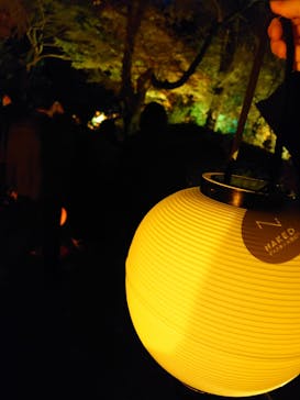 NAKED 紅葉の新宿御苑2023に投稿された画像（2023/11/23）