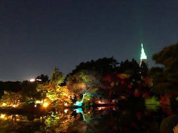 NAKED 紅葉の新宿御苑2023に投稿された画像（2023/11/23）