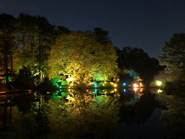 NAKED 紅葉の新宿御苑2023に投稿された画像（2023/11/23）